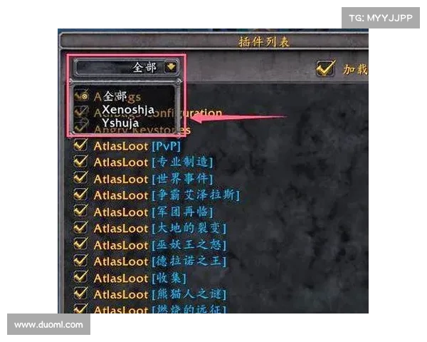 魔兽世界副本技能插件关闭攻略